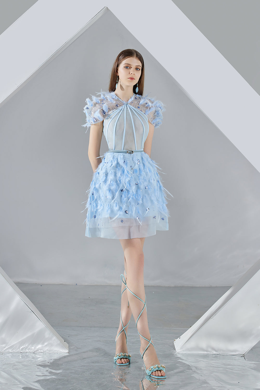 Marilyn A-line Short Sleeved Organza Mini Dress
