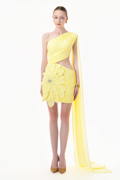 Odea Applique Mini Dress