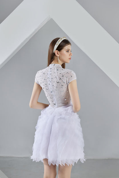 Savanna Puffy Short Sleeved Organza Mini Dress