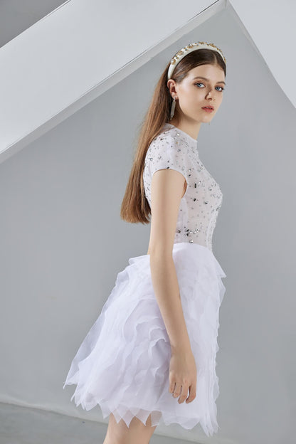 Savanna Puffy Short Sleeved Organza Mini Dress
