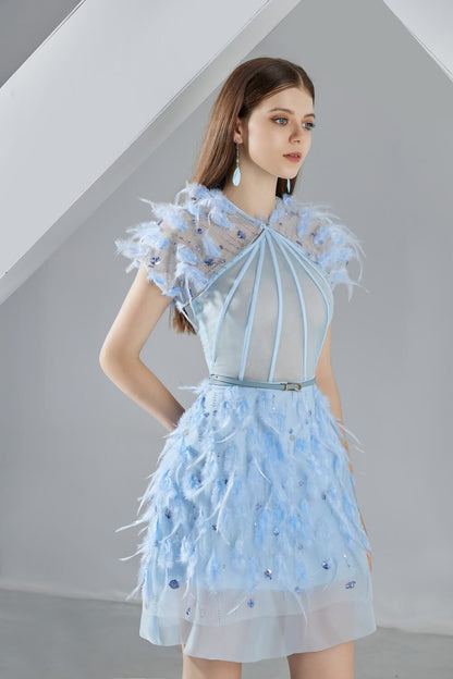 Marilyn A-line Short Sleeved Organza Mini Dress